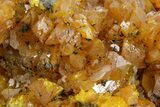 Striking Red-Orange Orpiment Crystal Cluster - Nevada #362133-1